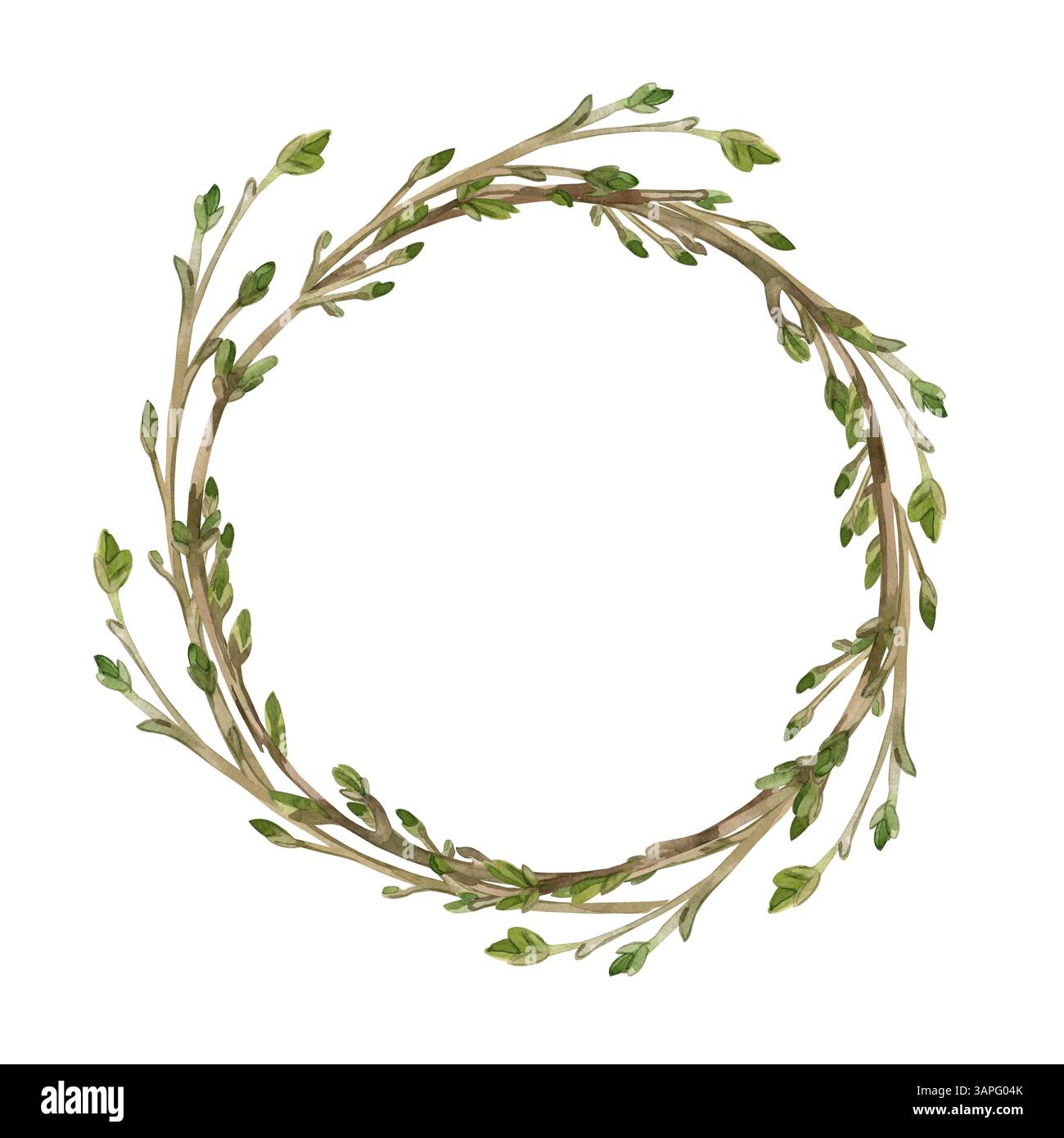 Corona rotonda di rami giovani con gemme, tutti i rami sono disegnati a mano con acquerello. L'illustrazione acquerello è perfetta per la stampa su cartoline Foto Stock
