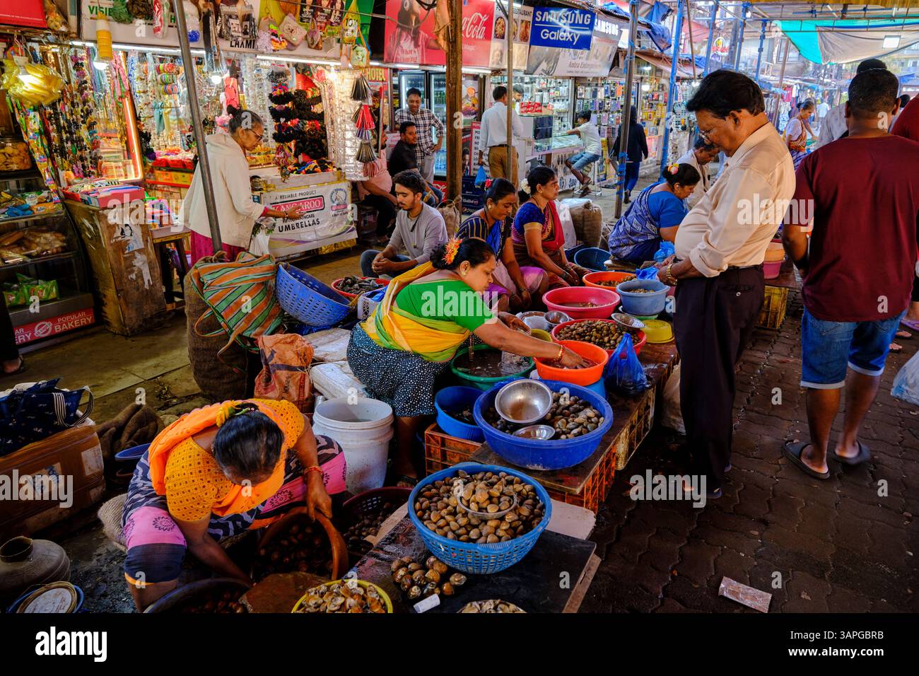 India, stato di Goa, Panaji (o Panjim), la capitale dello stato, mercato del pesce Foto Stock