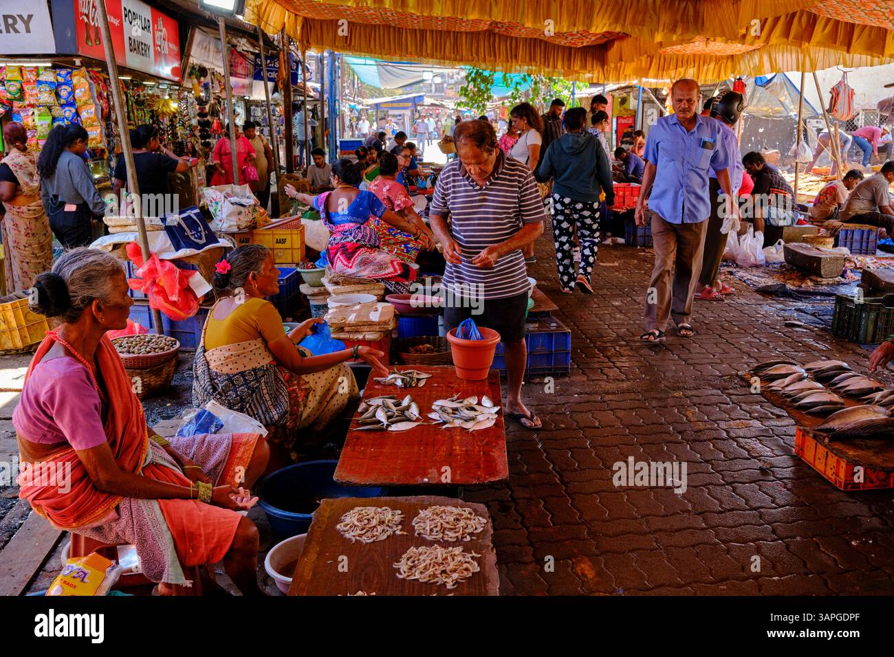 India, stato di Goa, Panaji (o Panjim), la capitale dello stato, mercato del pesce Foto Stock