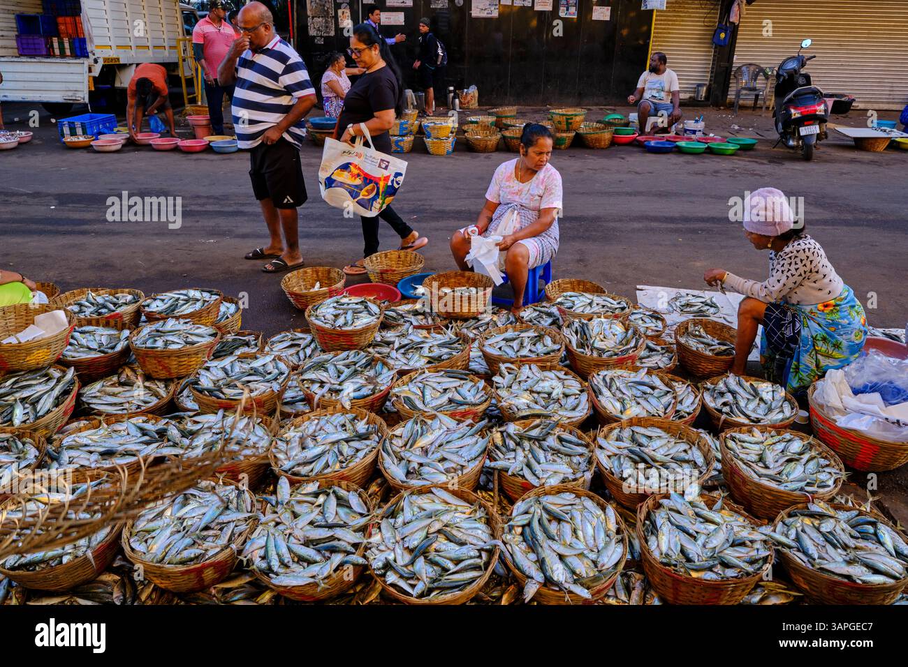 India, stato di Goa, Panaji (o Panjim), la capitale dello stato, mercato del pesce Foto Stock