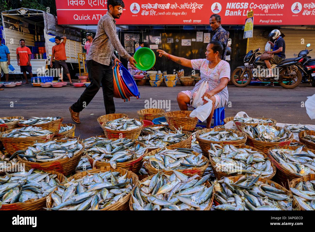 India, stato di Goa, Panaji (o Panjim), la capitale dello stato, mercato del pesce Foto Stock