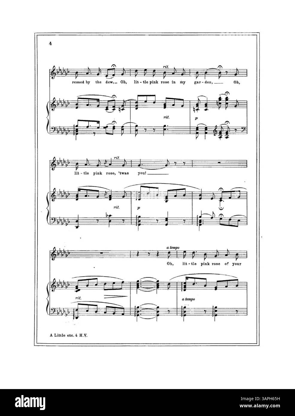 Questo spartito di "Little Pink Rose" è dedicato "alla memoria della piccola Bernice" ed è incorniciato da un bordo a doppia linea, che ne esalta la natura commemorativa e decorativa. Foto Stock
