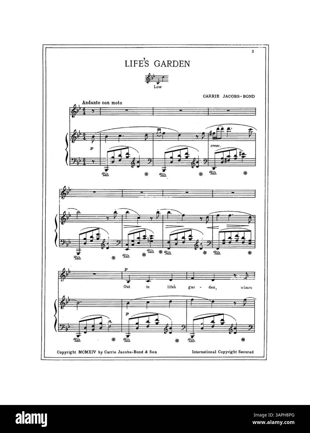 Gli spartiti di "Life's Garden" sono dedicati e cantati da Madame Schumann-Heink. Presenta una poesia di Fred Jacobs Smith, con musiche di Carrie Jacobs-Bond. Questa versione è disposta per la voce bassa in B flat. La copertina include un francobollo della E.B. Guild Music Co. Di Topeka, Kansas. Foto Stock