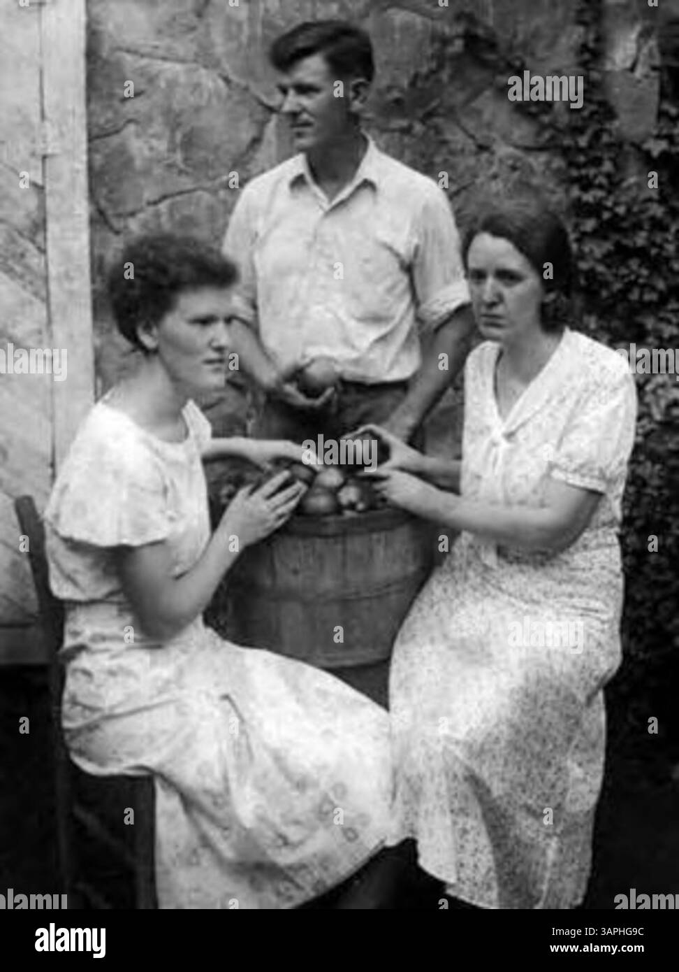 Una donna e un uomo sono ritratti con un barile di mele, probabilmente impegnati nella raccolta o nella preparazione del frutto. Questa immagine riflette le pratiche agricole e il lavoro stagionale associato alla raccolta di frutta nelle aree rurali. Foto Stock