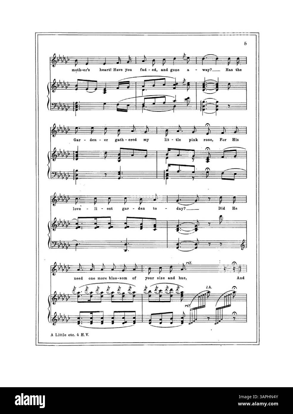 Lo spartito "Little Pink Rose", dedicato "alla memoria della piccola Bernice", presenta un bordo a doppia linea che incornicia la musica, esaltandone il valore sentimentale e il design artistico. Foto Stock