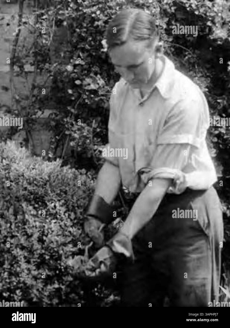 Fotografia di Dan Lewis, uno studente del Berea College. L'immagine lo mostra come parte del corpo studentesco del Berea College. Foto Stock