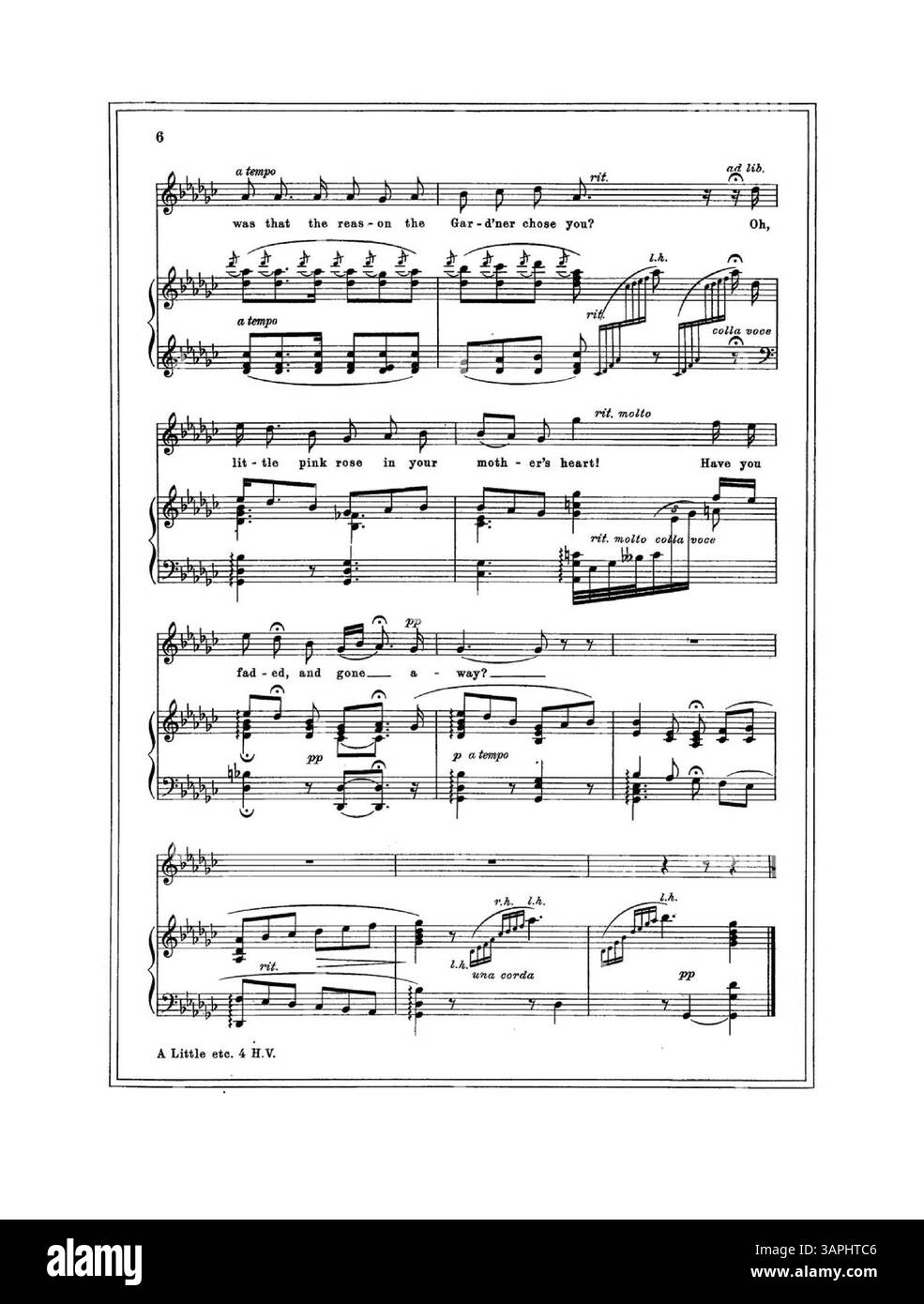 Lo spartito "Little Pink Rose" è dedicato "alla memoria di Little Bernice" e presenta un bordo a doppia linea intorno alla musica, sottolineandone le qualità emotive e commemorative. Foto Stock