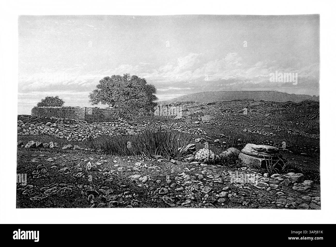 Incisione delle rovine a Biblical City Shiloh fotografata da J.. Cramb e inciso da J.. Brodie dell'antiquariato del XIX secolo Practical and Devotional Fam Foto Stock