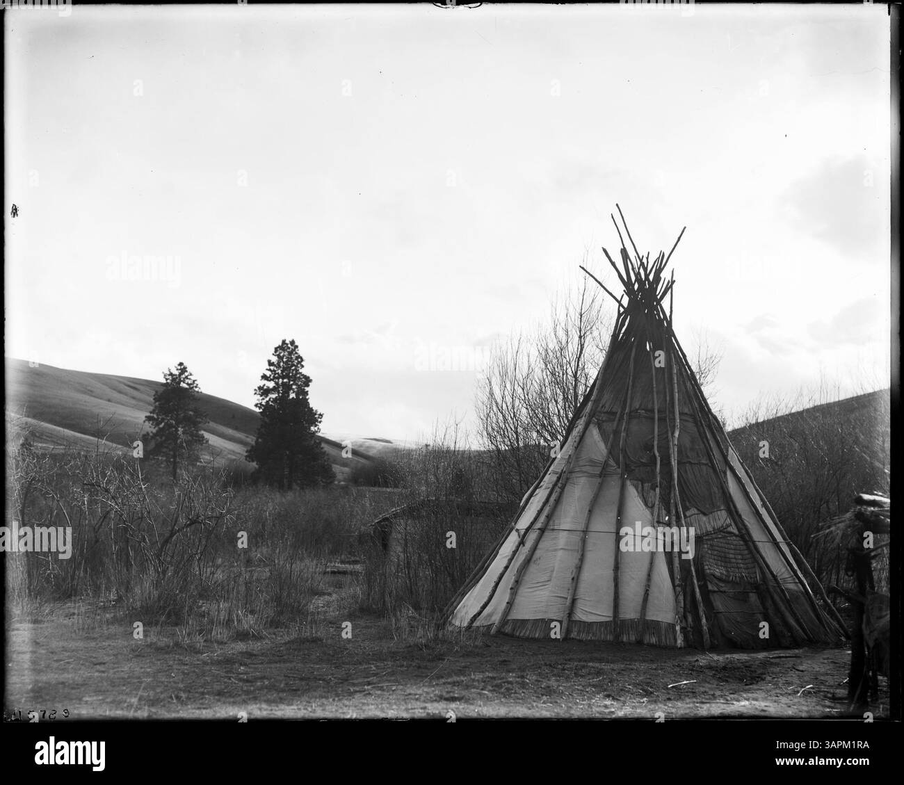 Fotografia che mostra i singoli campi indiani nella riserva indiana Umatilla. L'immagine cattura diversi campeggi distinti, fornendo informazioni sulle condizioni di vita della comunità. L'ambiente include tende e strutture tradizionali utilizzate dalle tribù dei nativi americani all'inizio del XX secolo. Foto Stock