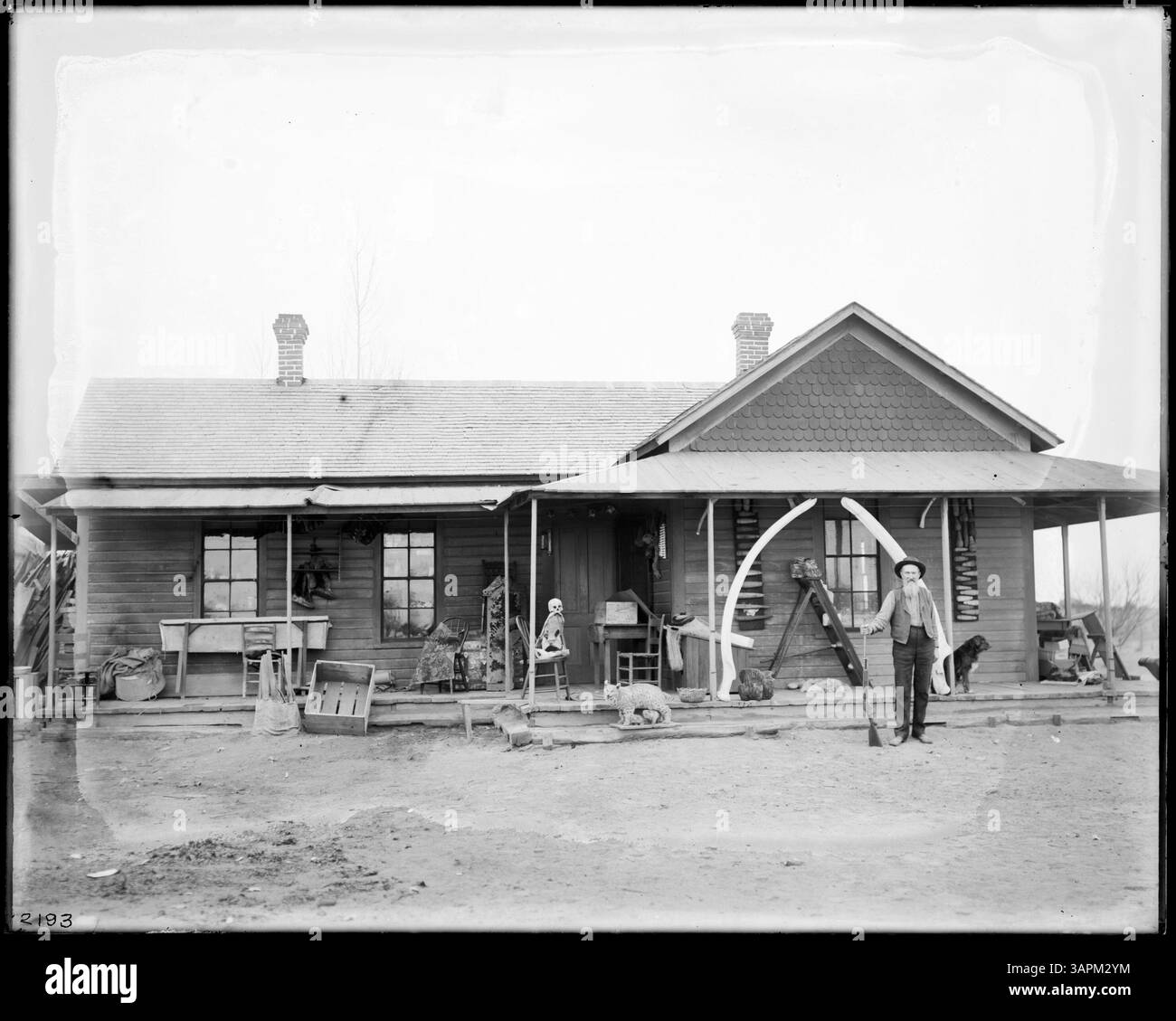 Una fotografia del Kennewick Animal Museum e del suo proprietario a Kennewick, Washington, che documenta un piccolo museo cittadino e il fascino degli inizi del XX secolo per la fauna selvatica locale e la storia naturale. Foto Stock