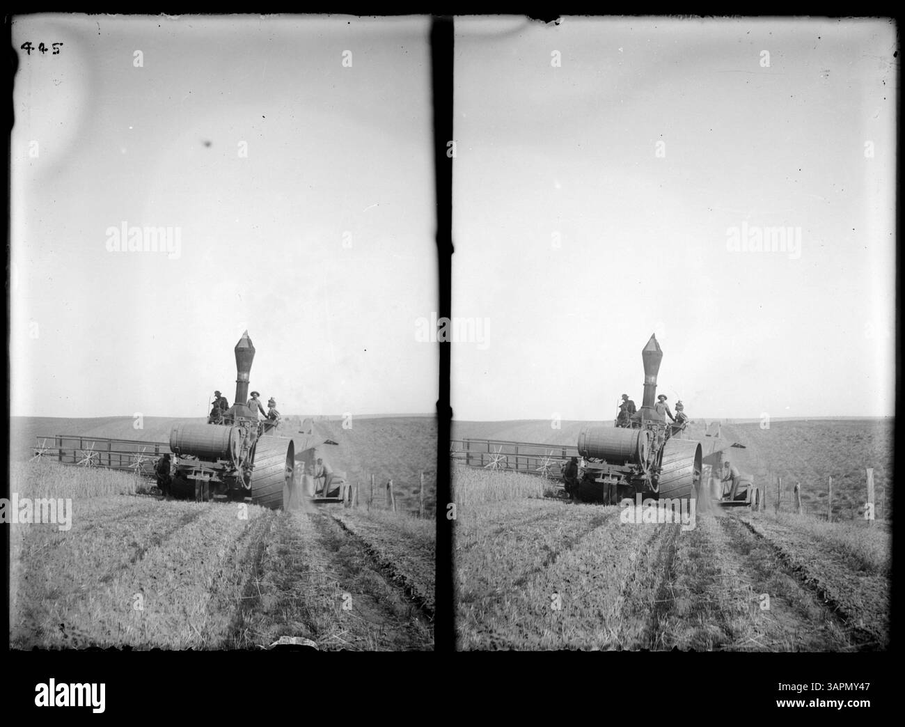 La fotografia *PH036 0445* nella collezione Lee Moorhouse presso le biblioteche dell'Università dell'Oregon mostra una mietitrebbia a vapore azionata da un trattore a vapore da una vista frontale. Questa immagine fornisce informazioni sulle prime macchine agricole utilizzate nel XX secolo. Foto Stock