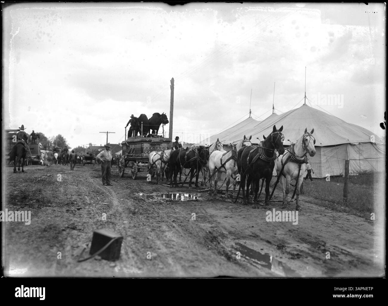 Parata di Elks' Circus a Pendleton, Oregon, con un elaborato carro che trasporta bovini esotici davanti alle tende da circo, che documenta una sfilata storica. Foto Stock