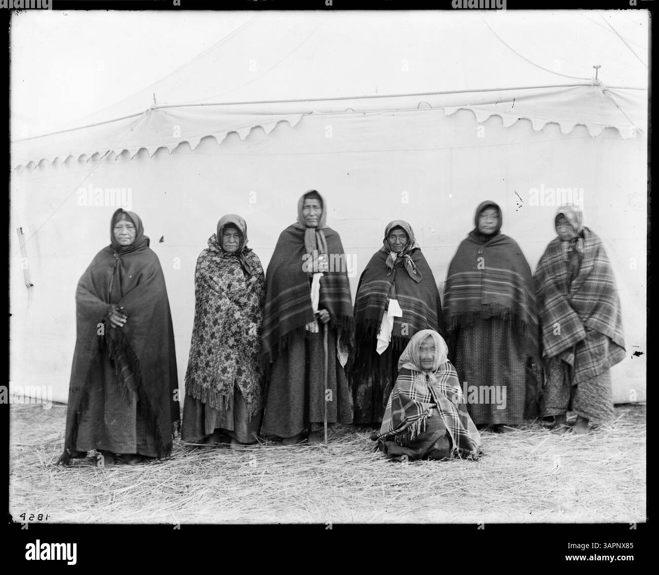 Questa fotografia mostra un gruppo di donne Cayuse più anziane, identificate come convertite del dottor Marcus Whitman. Fornisce informazioni sulla storia indigena e sui cambiamenti culturali durante il XIX secolo. Foto Stock