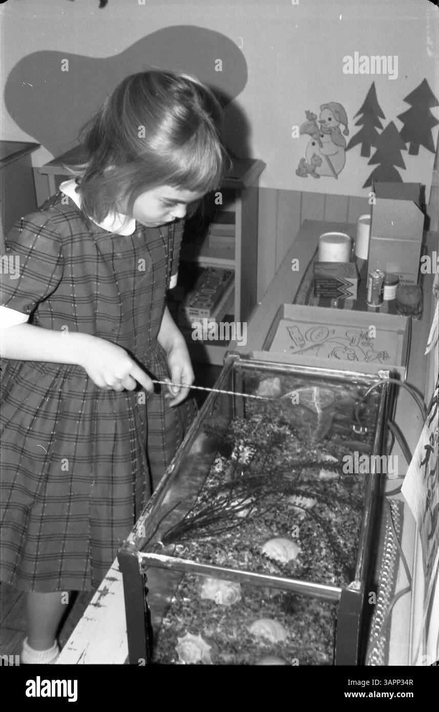 La foto "Science at Cleveland School" mostra una ragazza che immerge una rete in un acquario, catturando un'attività scientifica in corso. Foto Stock