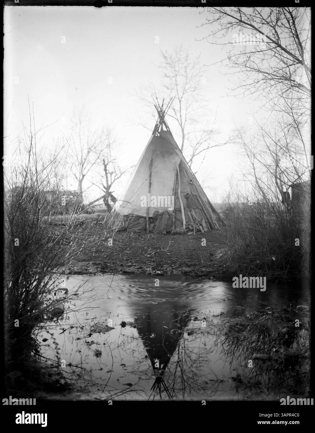 Immagine che mostra un campo nella riserva indiana Umatilla, fotografata da Lee Moorhouse. La fotografia fa parte della collezione Lee Moorhouse della University of Oregon Libraries. Foto Stock