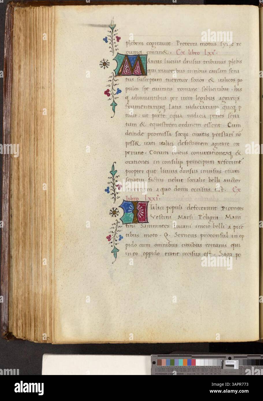 Questa compilazione dell'epitome della storia romana e la sintesi di Sesto Ruffus della storia di Livio fornisce una breve ma completa panoramica dei momenti chiave della storia romana. Mette in evidenza le principali figure politiche, i leader militari e lo sviluppo delle istituzioni romane. Foto Stock