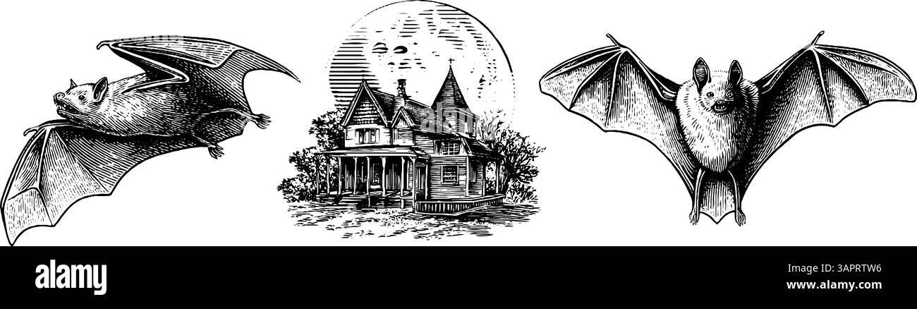 Illustrazione botanica incisa di foglie di basilico e pomodoro per il design culinario. Illustrazione Vettoriale