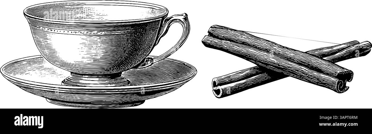 Incisione vintage con tè e bastoncini di cannella per l'arte della cucina. Illustrazione Vettoriale