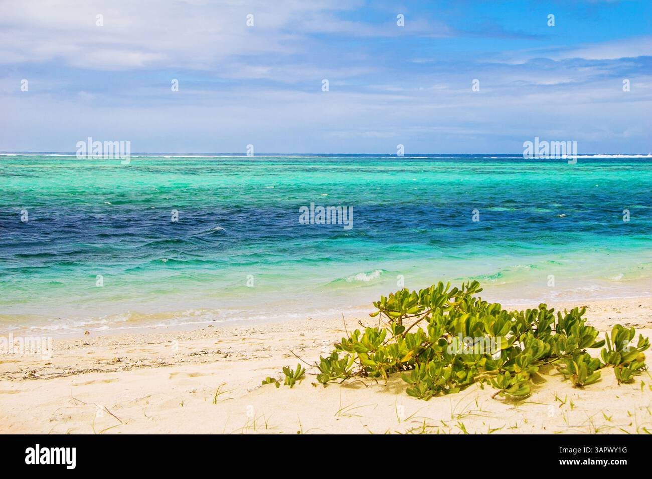 Trou aux Biches, sull'isola di Mauritius Foto Stock