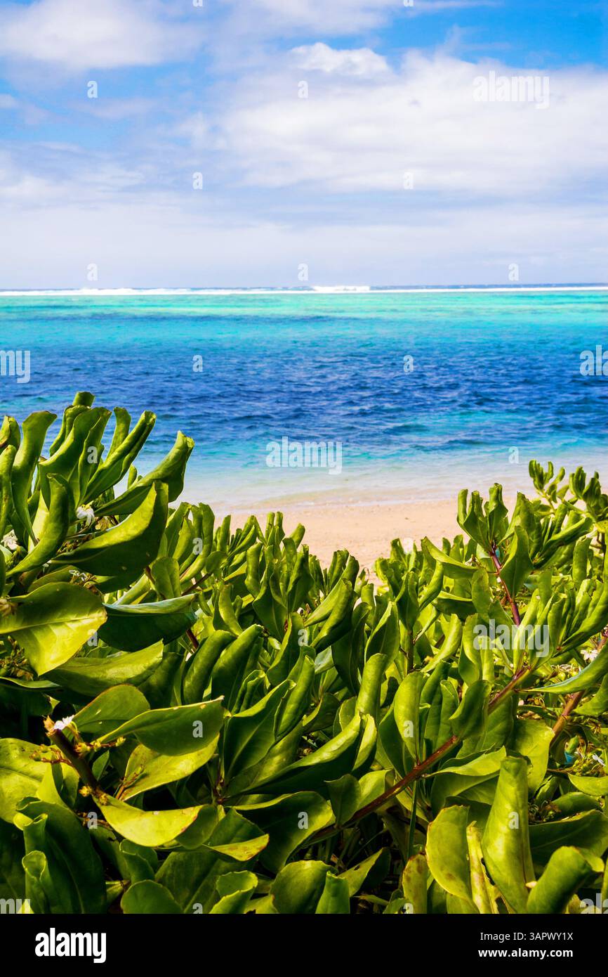 Trou aux Biches, sull'isola di Mauritius Foto Stock