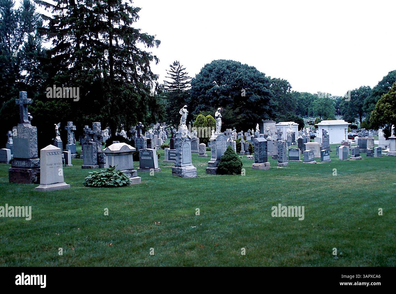 1 GENNAIO 2011 - K25339JK: FUNERALE DI JOHN GOTTI NEL QUEENS NEW YORK. JOHN GOTTI BOSS DELLA MOB DELLA FAMIGLIA GAMBINO FU SEPOLTO ACCANTO AL CORPO DEL FIGLIO DI 12 ANNI FRANK A ST. JOHNS CEMETERY NEL QUEENS 06/15/02.JOHN GOTTI'S SON. JOHN KRONDES/ 2002 (immagine di credito: © Globe Photos/ZUMAPRESS.com) Foto Stock