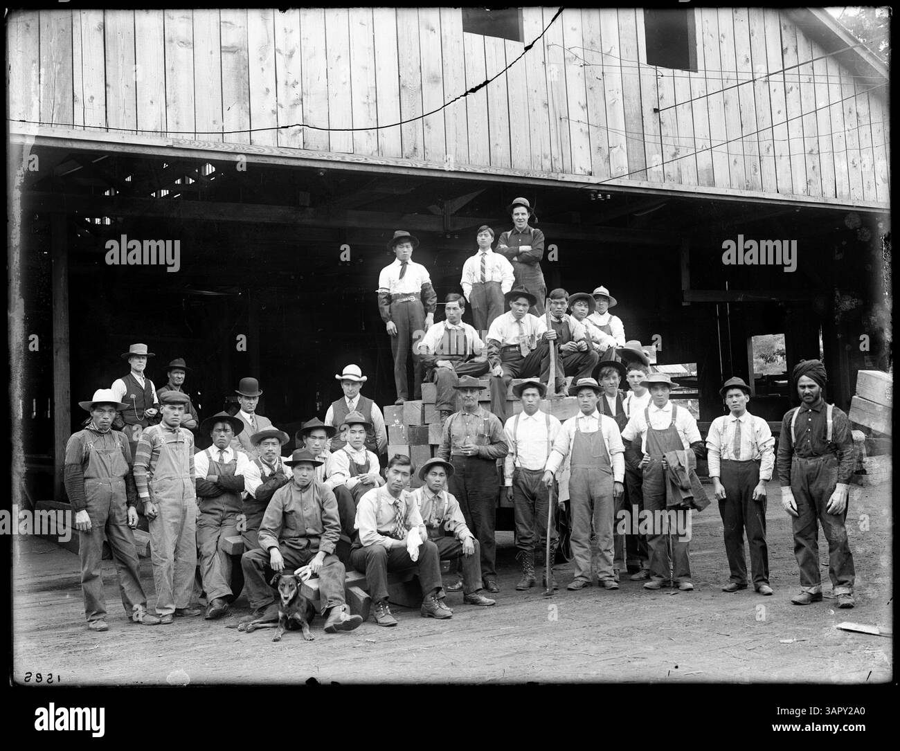 Questa fotografia di Lee Moorhouse mostra un gruppo di raccoglitori di fragole nella Hood River Valley. L'immagine raffigura la vita agricola e il lavoro stagionale comune nell'Oregon dei primi anni del XX secolo. Foto Stock