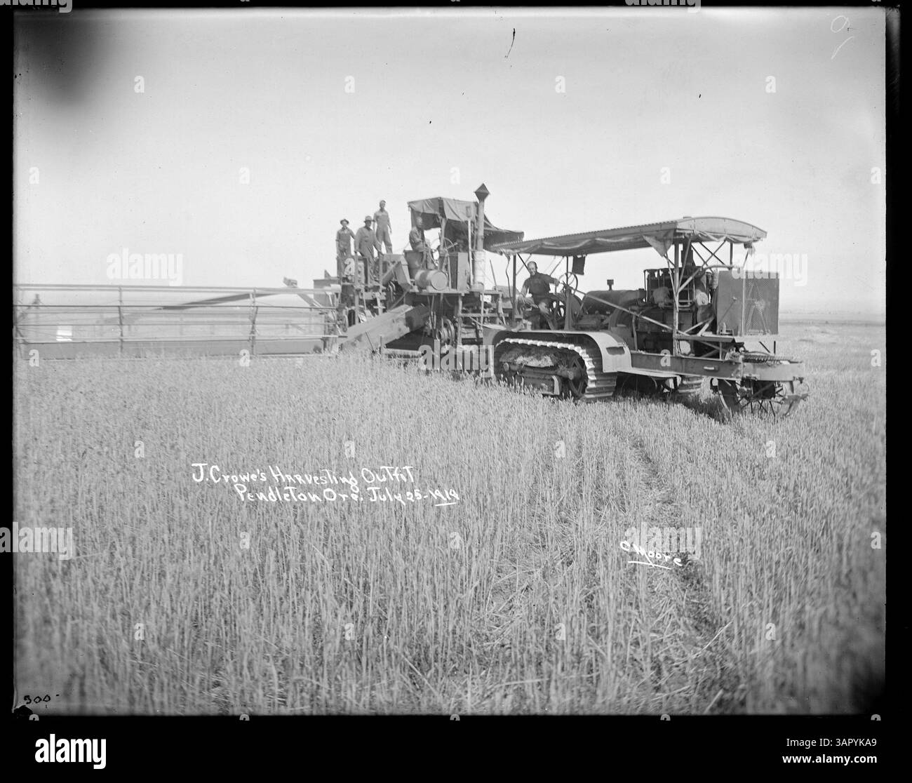 La fotografia di Lee Moorhouse mostra l'abbigliamento da raccolta di J. Crowe, con una mietitrebbia trainata da trattore a olio utilizzata nelle attività agricole. Foto Stock