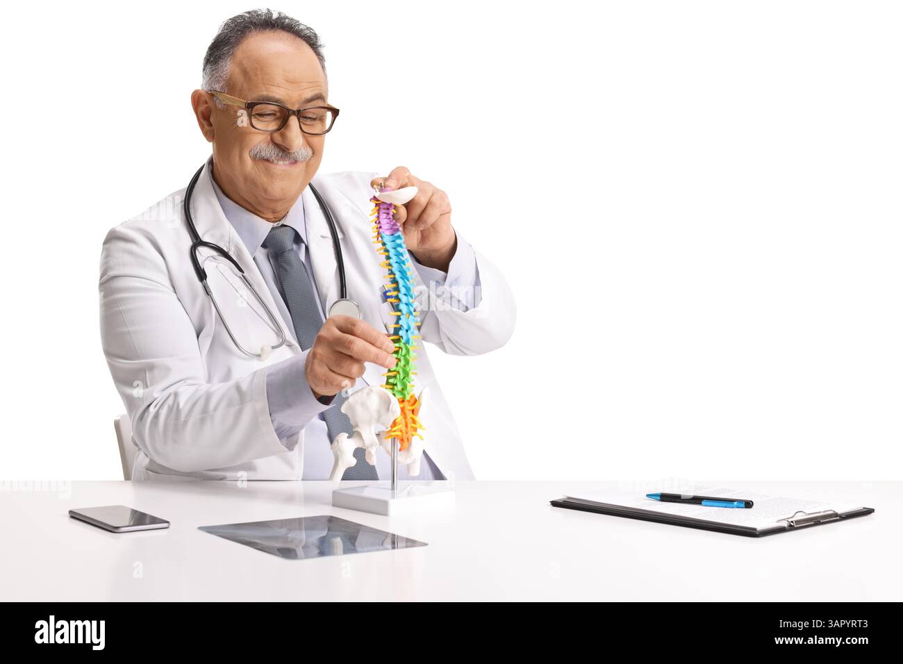 Medico che esamina un modello della colonna cervicale isolato su sfondo bianco Foto Stock