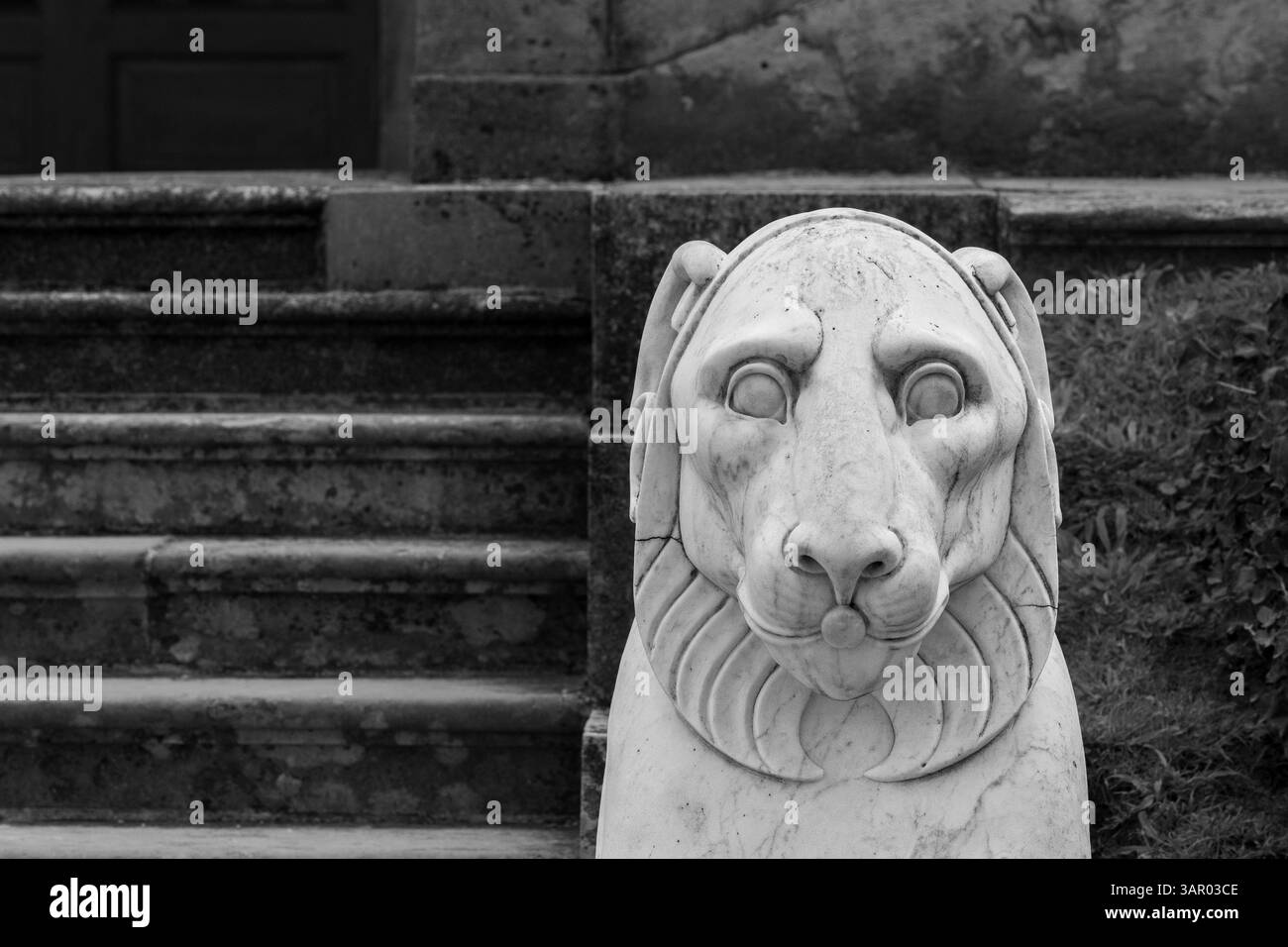Scultura di leone in marmo bianco e nero, situata nei giardini di Villa Carlotta, Lago di Como, Italia. Foto Stock