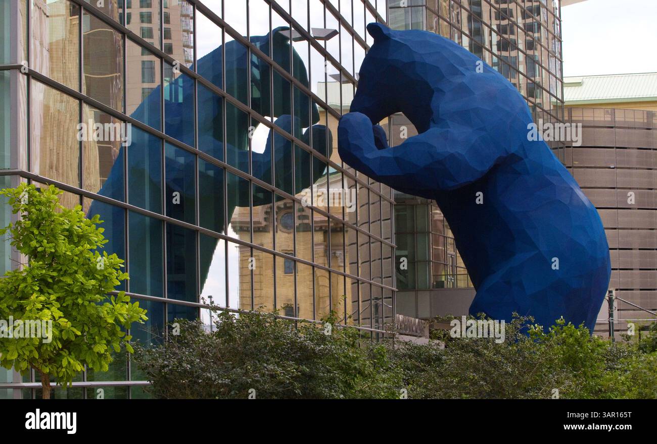 25 luglio 2011 - Denver, Colorado, USA - "i SEE What You Mean", una grande scultura di orso blu creata dall'artista di Denver Lawrence Argent, si presenta alle finestre del Colorado Convention Center lunedì 25 luglio 2011. La forma e la forma della scultura dell'orso sono state estrapolate da file digitali tridimensionali, e poi create da materiali compositi e installate nel 2005. (Immagine di credito: © Werner R Slocum/MCT/MCT/ZUMAPRESS.com) Foto Stock