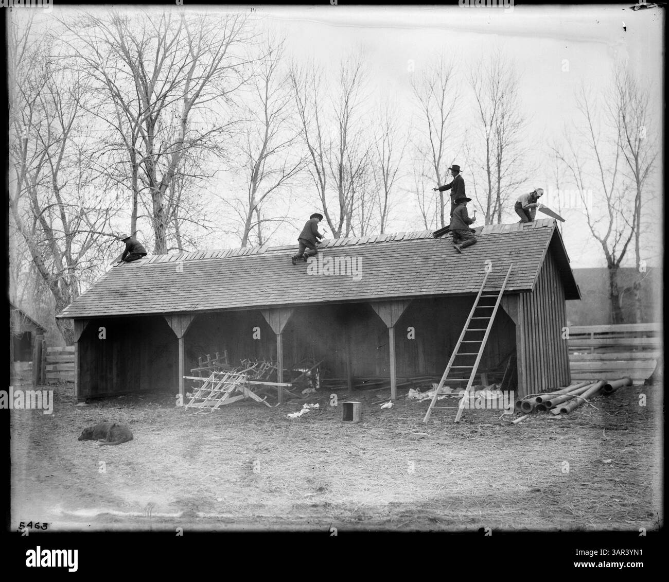 Fotografia di alunni della Umatilla Indian School, impegnati nell'agricoltura pratica. L'immagine mostra gli studenti che lavorano su edifici e campi agricoli. Foto Stock