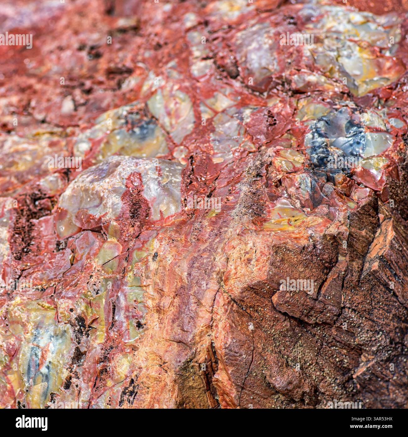 Primo piano di legno pietrificato che mostra una consistenza ruvida e vivaci colori minerali, tra cui rosso, blu, giallo e marrone in formazione a strati. Foto Stock