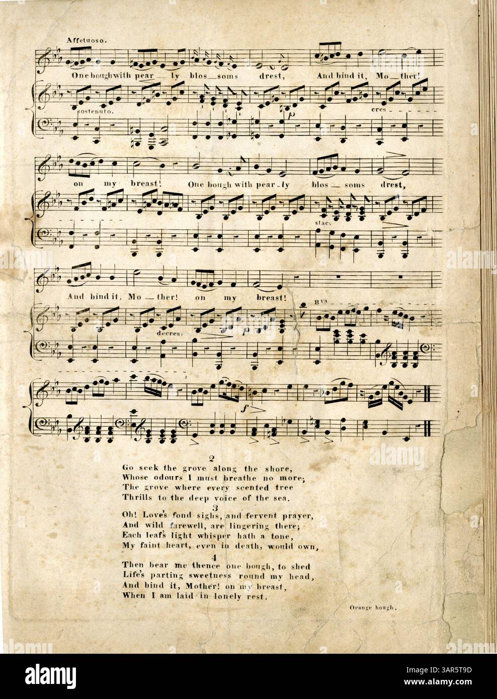 The Orange Bough è una composizione musicale scritta da Mrs. Hemans, con un tema di Handel. L'opera comprende sinfonie e accompagnamenti composti e dedicati a Miss Christman da Miss H. Browne, una professoressa del sistema Logeriano di musica. Foto Stock