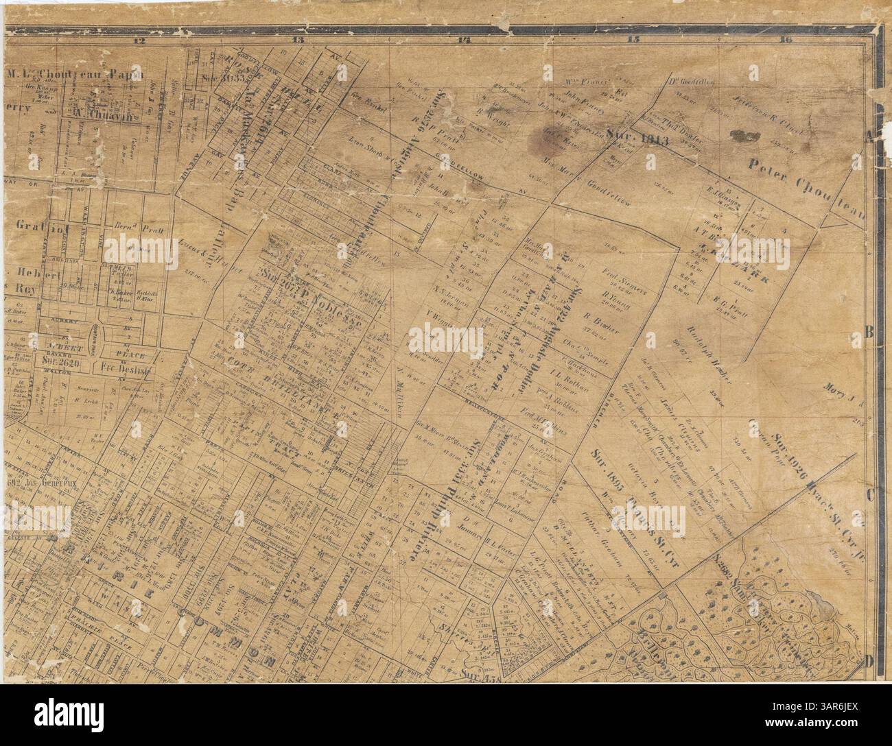 Una mappa dettagliata che mostra la sezione in alto a destra della città di St. Louis, evidenziando le strade, i quartieri e i luoghi di interesse della città durante la fine del XIX secolo o l'inizio del XX secolo. Foto Stock