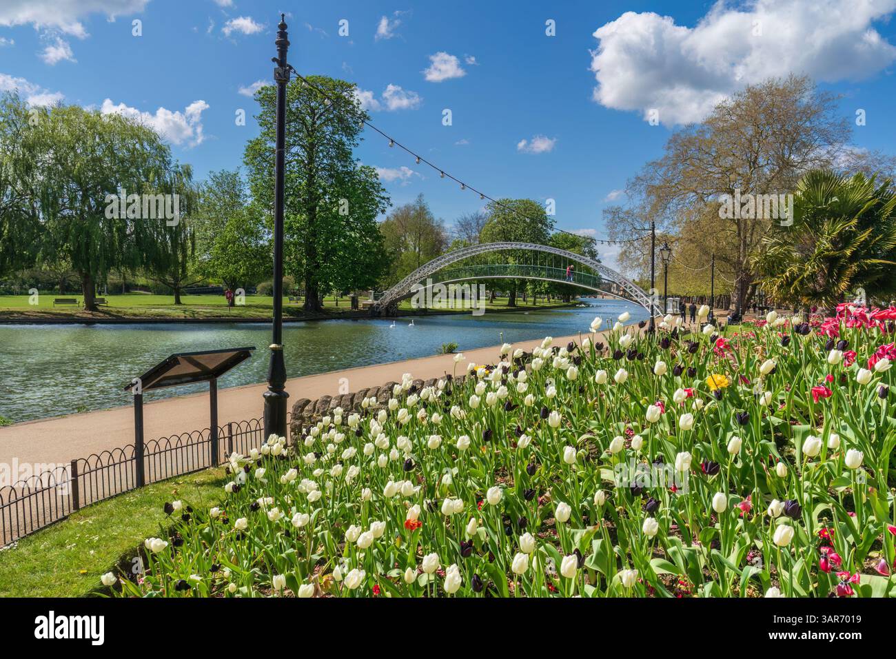 Primavera sull'argine di Bedford Foto Stock