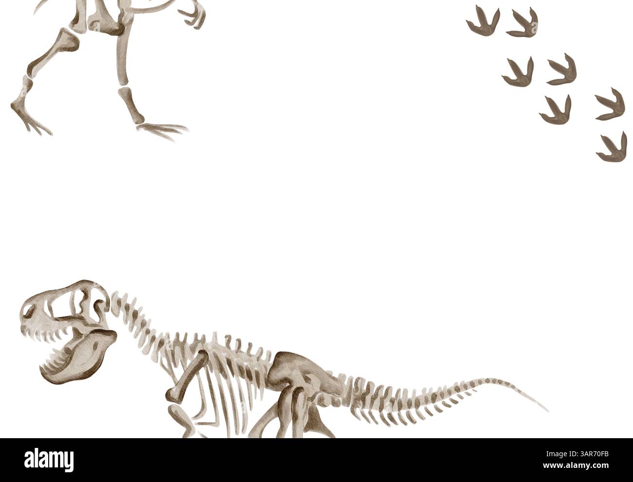 telaio con scheletro di dinosauro rex. Parti di Theranosaurus Rex. Cingoli Predator. Ossa e cranio. Modello di dinosauro. Illustrazione acquerello senza Foto Stock