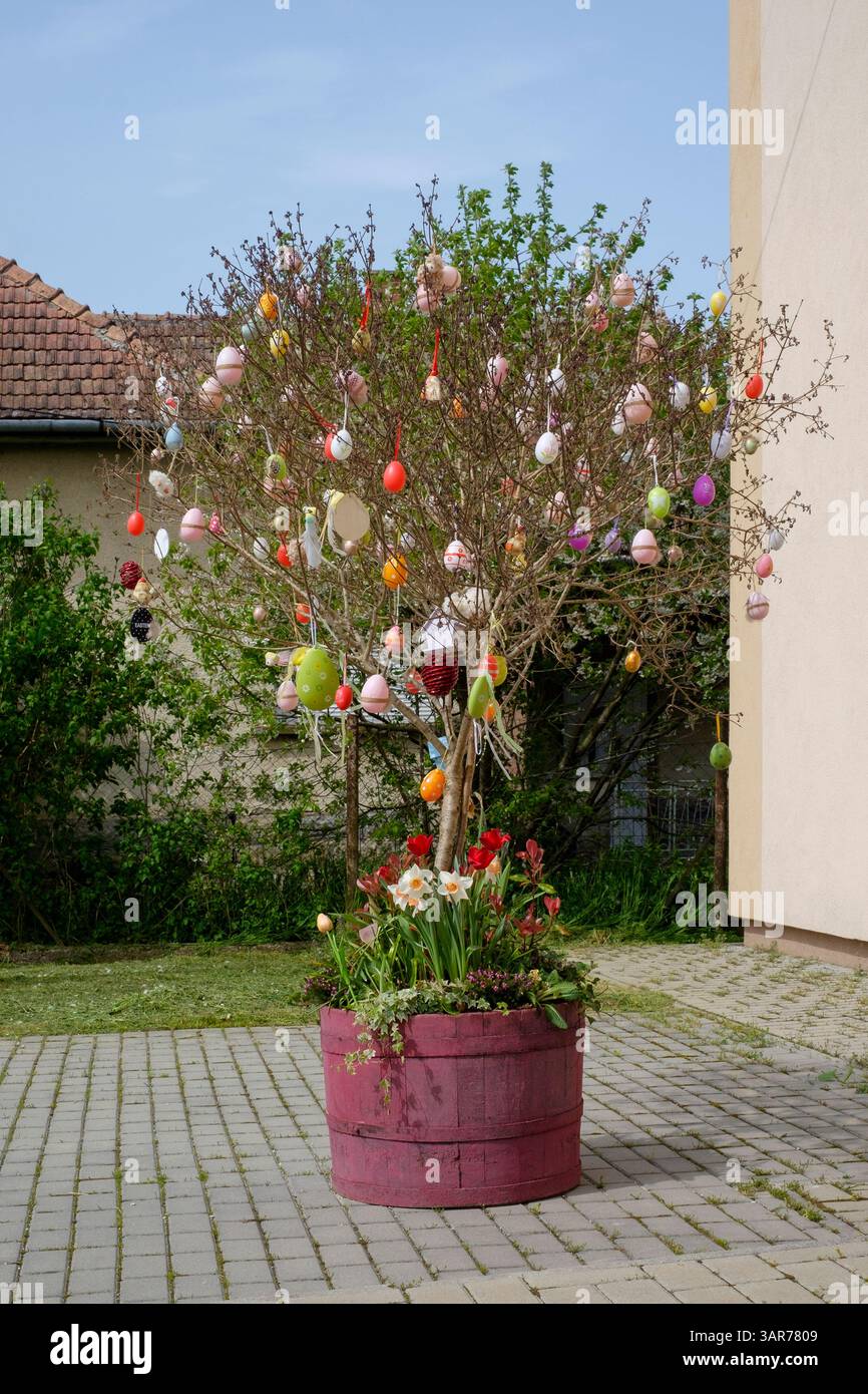 decorazioni pasquali decorato albero con uova al di fuori della casa di cultura rurale del villaggio promuovendo le prossime vacanze lentikapolna contea di zala ungheria Foto Stock