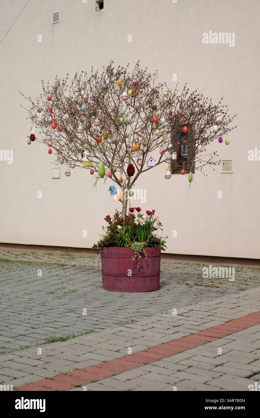 decorazioni pasquali decorato albero con uova al di fuori della casa di cultura rurale del villaggio promuovendo le prossime vacanze lentikapolna contea di zala ungheria Foto Stock