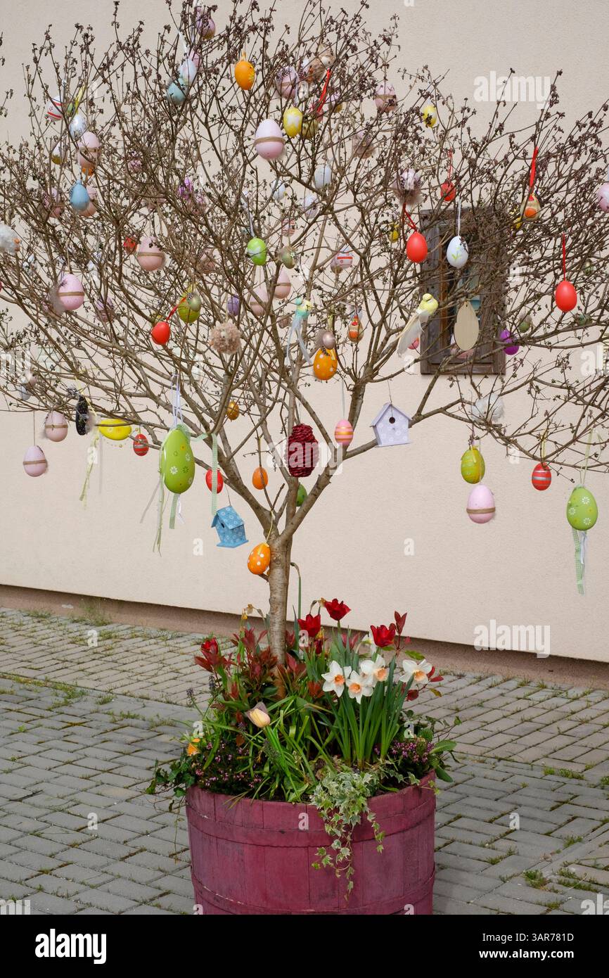 decorazioni pasquali decorato albero con uova al di fuori della casa di cultura rurale del villaggio promuovendo le prossime vacanze lentikapolna contea di zala ungheria Foto Stock