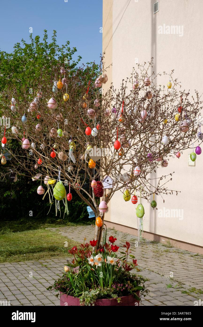 decorazioni pasquali decorato albero con uova al di fuori della casa di cultura rurale del villaggio promuovendo le prossime vacanze lentikapolna contea di zala ungheria Foto Stock
