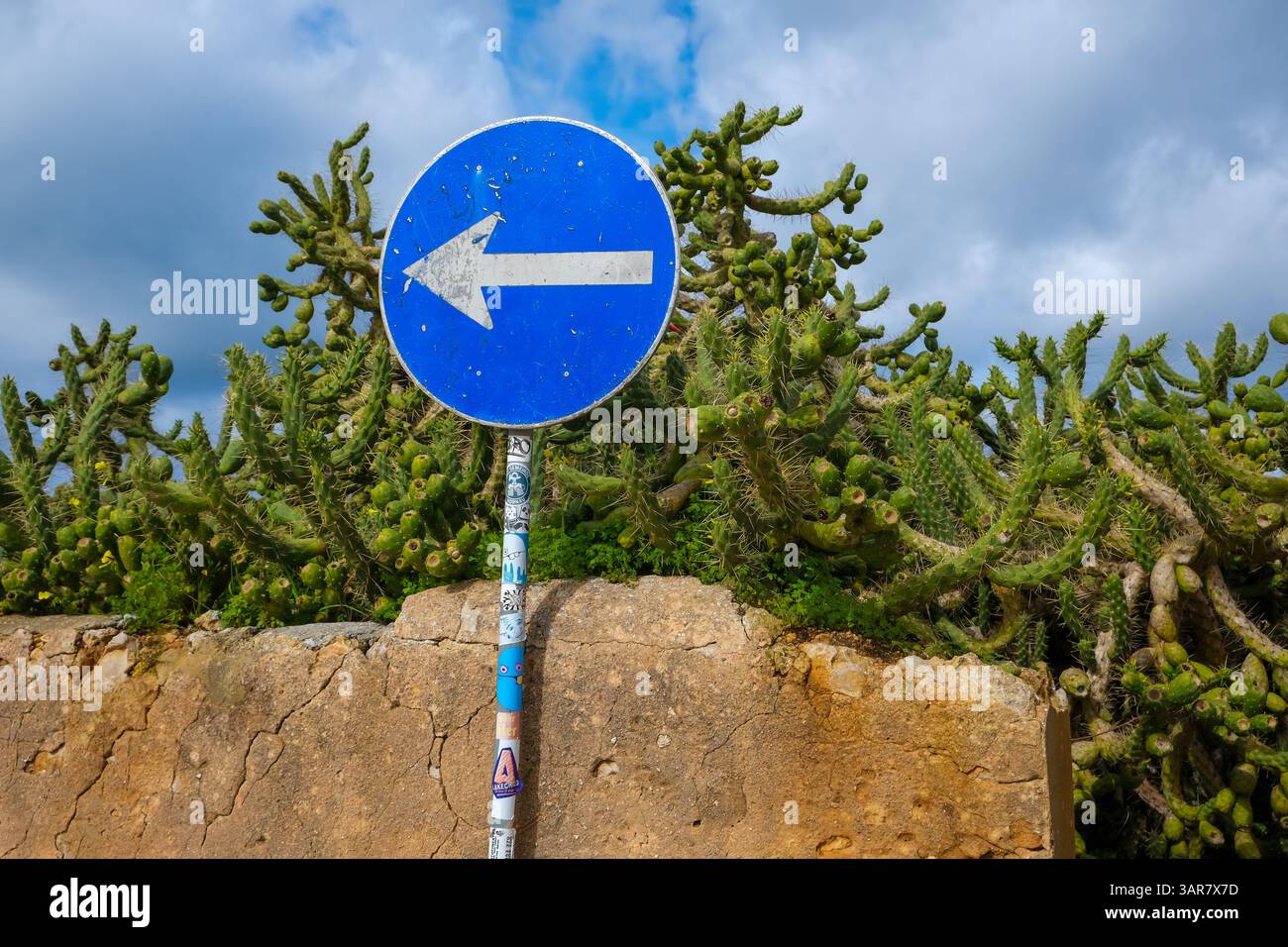Sagres, Algarve, Portogallo - cartello stradale di fronte a un vecchio muro con una siepe di cactus. Foto Stock