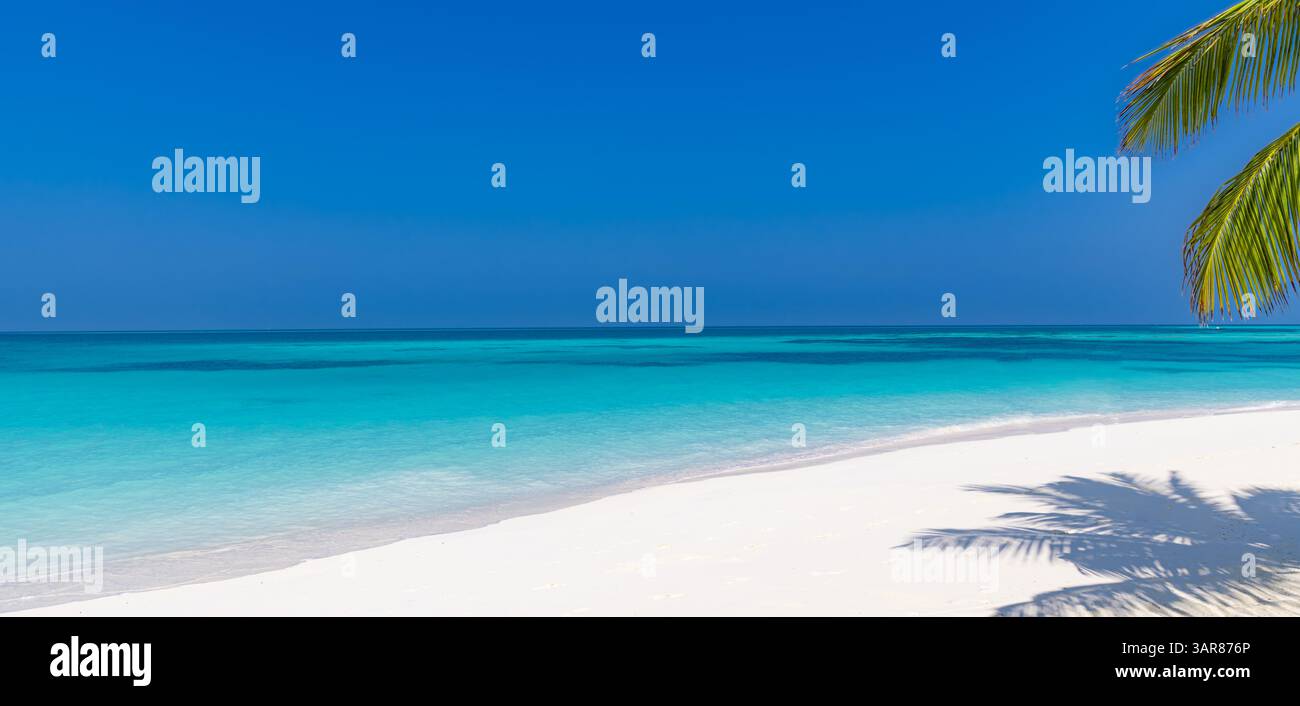 Foglie di palma su una spiaggia tranquilla, con sabbia dorata, acque turchesi cristalline e cielo tranquillo che creano la perfetta fuga da paradiso tropicale. Carta da parati soleggiata Foto Stock