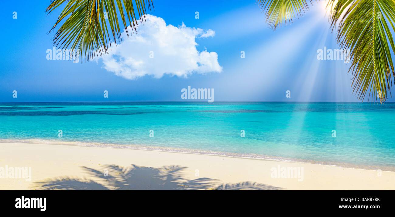 Foglie di palma su una spiaggia tranquilla, con sabbia dorata, acque turchesi cristalline e cielo tranquillo che creano la perfetta fuga da paradiso tropicale. Carta da parati soleggiata Foto Stock