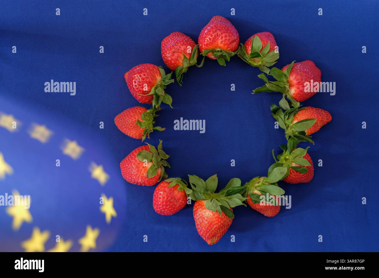 Сonceptual rappresentanza della produzione e del commercio di frutta nell'Unione europea. Fragole disposte in cerchio su sfondo blu. Foto Stock