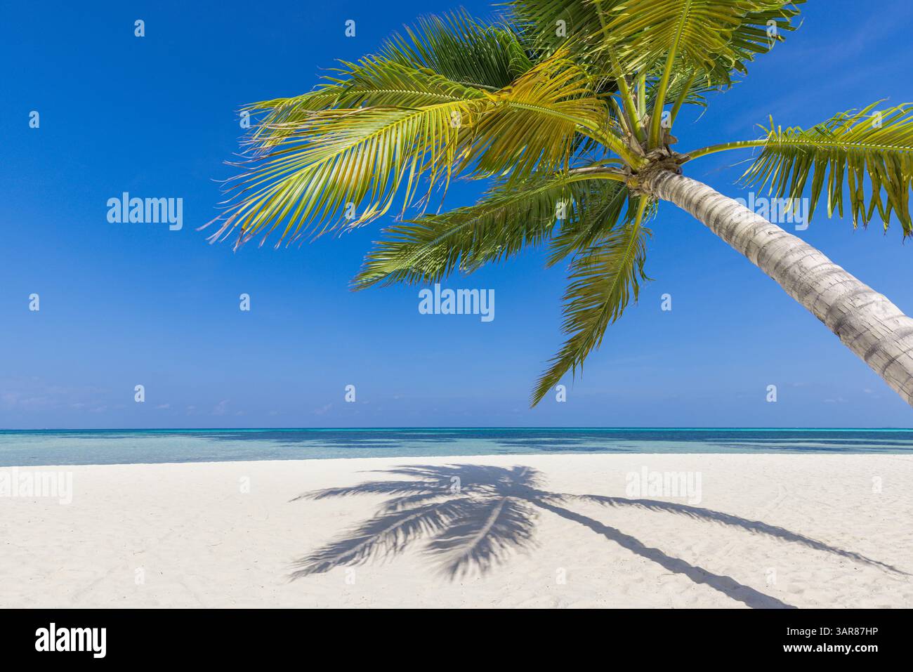 Foglie di palma su una spiaggia tranquilla, con sabbia dorata, acque turchesi cristalline e cielo tranquillo che creano la perfetta fuga da paradiso tropicale. Carta da parati soleggiata Foto Stock