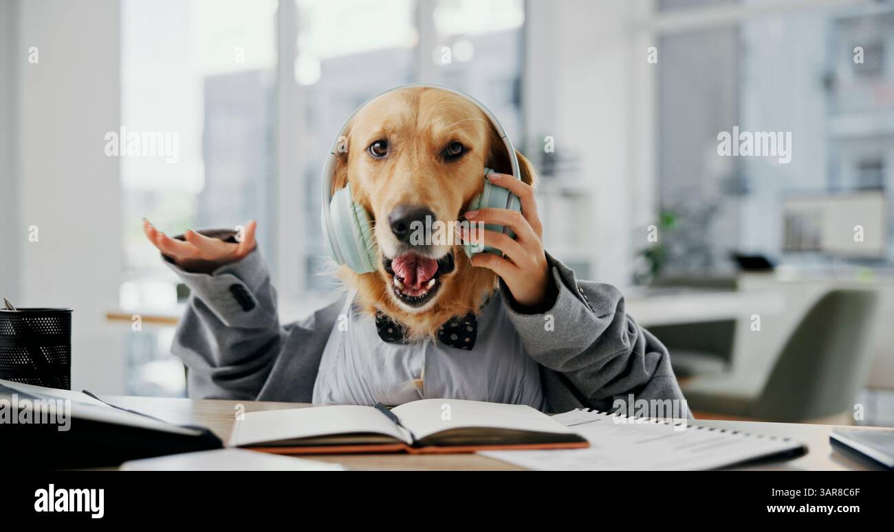 Business, animale e cane con cuffie per umorismo, balli imitanti e accompagnatore in ritratto durante la pausa. Ufficio, cucciolo e Golden retriever in agenzia per animali domestici Foto Stock Business, animale e cane con cuffie per umorismo, balli imitanti e accompagnatore in ritratto durante la pausa. Ufficio, cucciolo e Golden retriever in agenzia per animali domestici Foto Stock