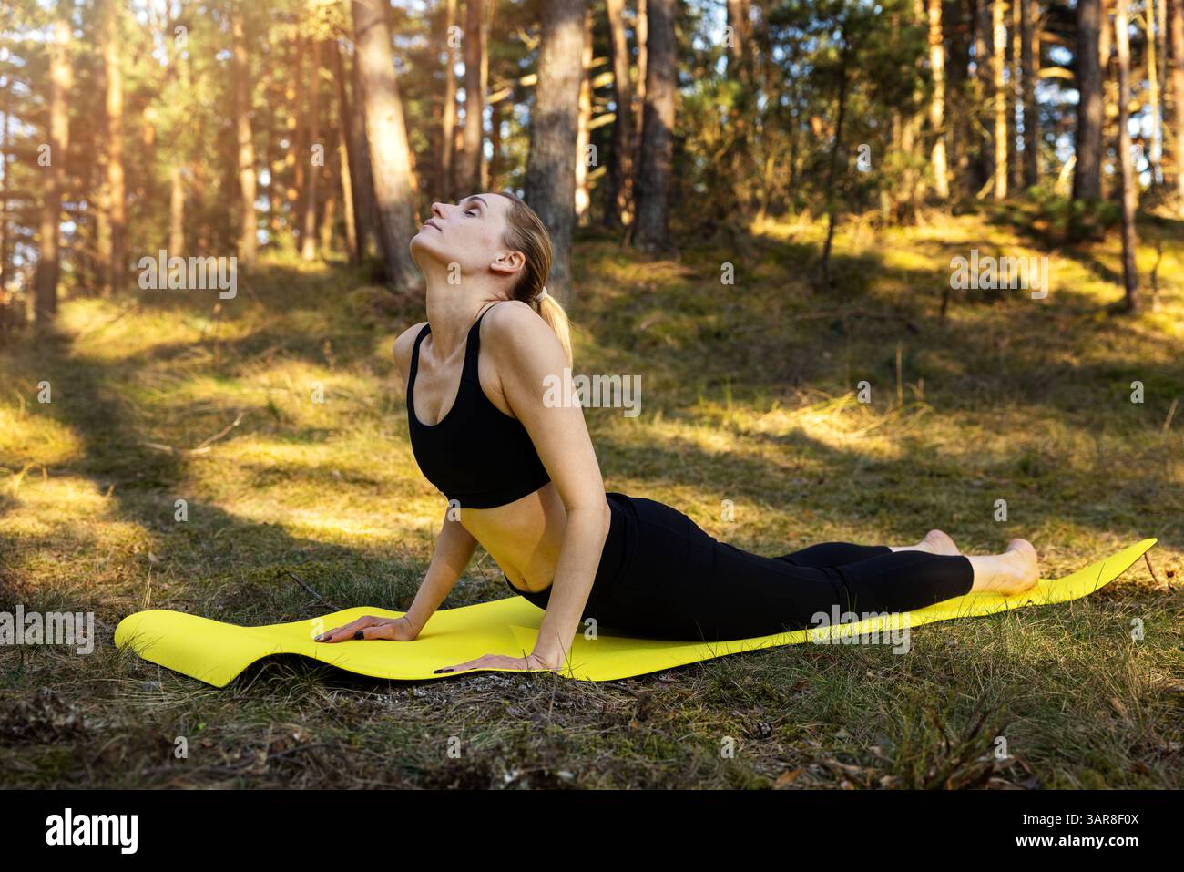 donna che pratica esercizi di yoga su un tappetino in una foresta soleggiata. esercizi di stretching Foto Stock