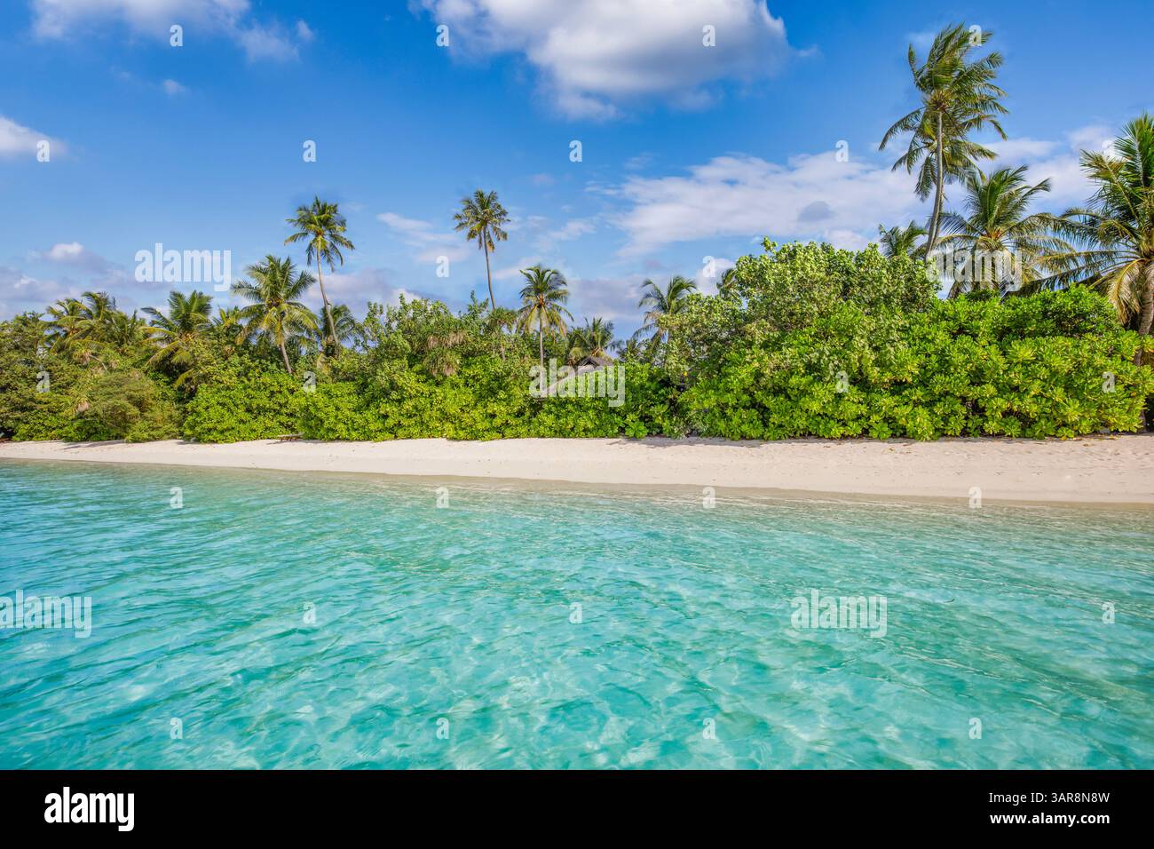 Splendida spiaggia tropicale paradisiaca sabbia bianca, cielo soleggiato mare turchese, palme di cocco, bellezza mozzafiato dell'isola. Fuga da sogno estiva, vacanza Foto Stock