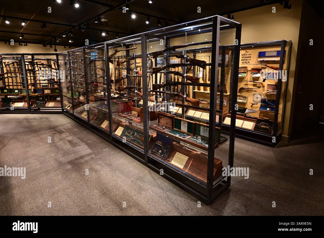 Casi di pistola al museo del Virginia Material Institute. Foto Stock