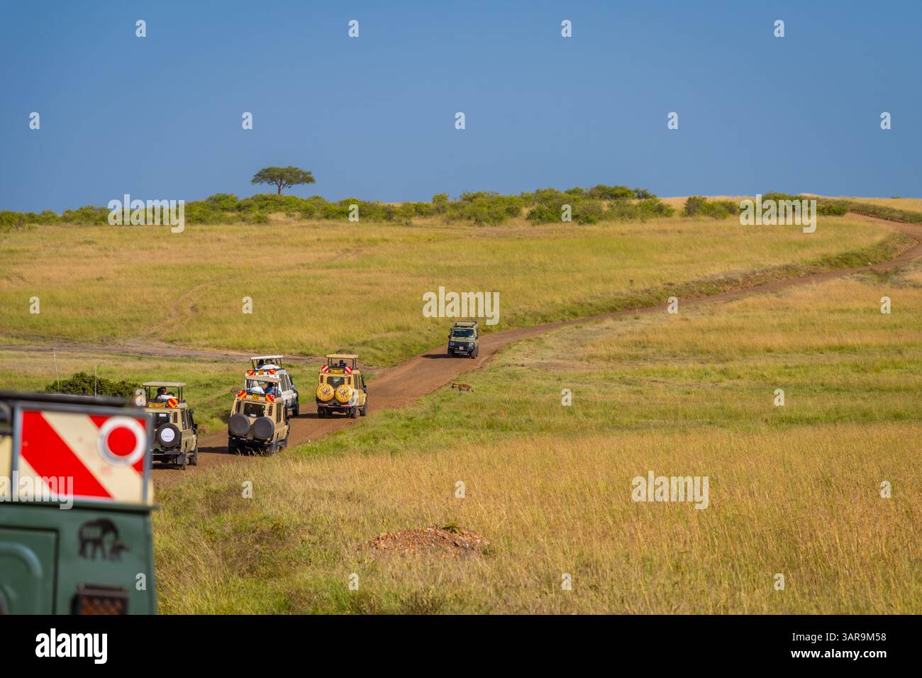 Auto da safari che attraversano la savana in Kenya. Foto Stock